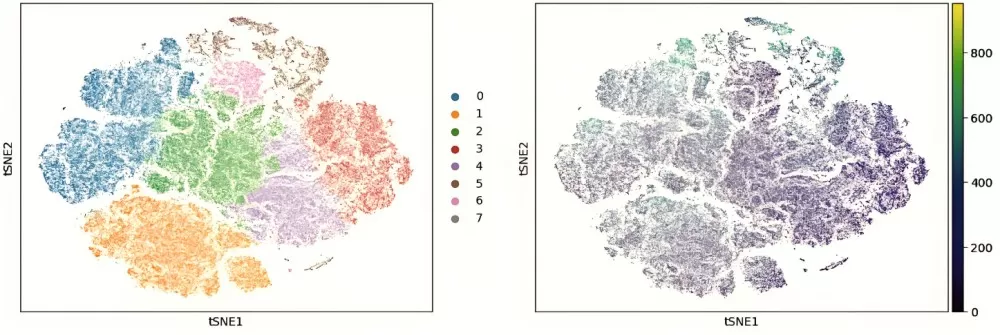 Mass Spectrometry Imaging for Molecular Landscapes